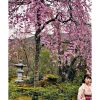 Japonia-w-kwiatach-sakury-04