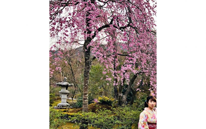 Japonia-w-kwiatach-sakury-04