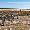 Namibia-kraj-zachodzacego-slonca-03