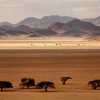Namibia-kraj-zachodzacego-slonca-13